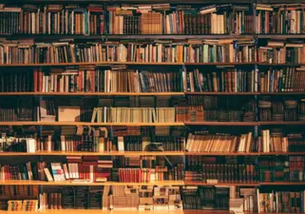 1_6Jp3vJWe7VFlFHZ9WhSJng